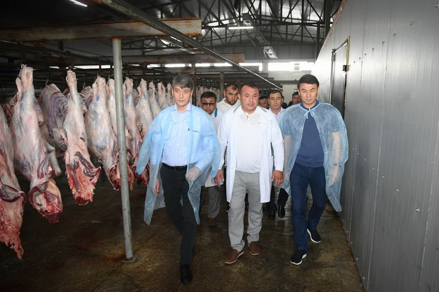 Переработку отходов животноводства запустят в Туркестанской области