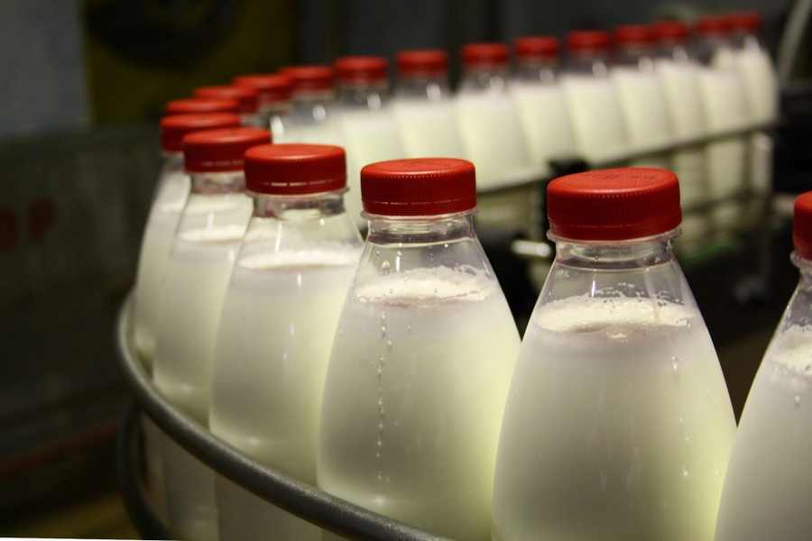 Себестоимость молока в России выросла на 18%
