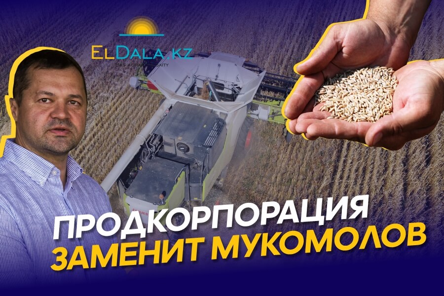 Как Продкорпорация может отрегулировать зерновой рынок Казахстана?