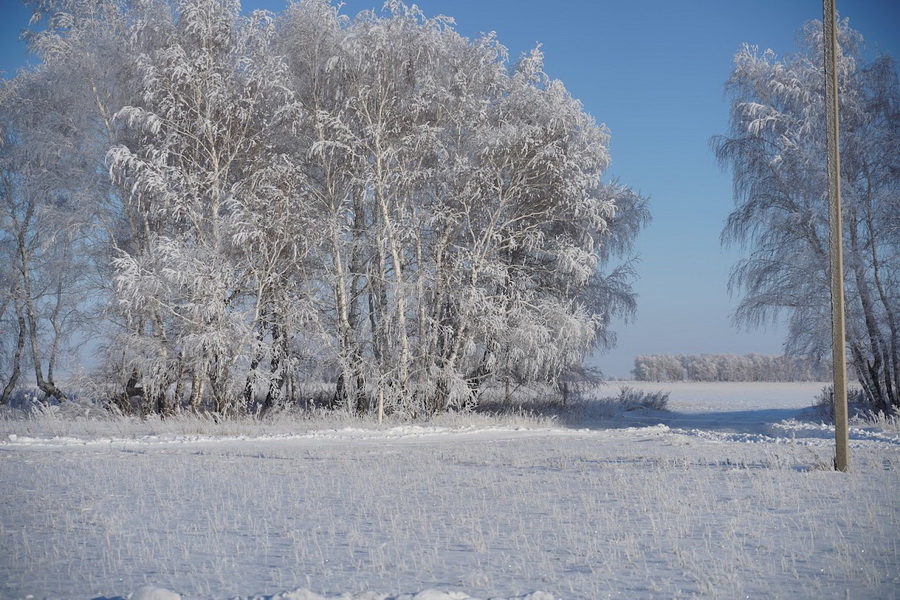 Теплый февраль прогнозируют синоптики в Казахстане