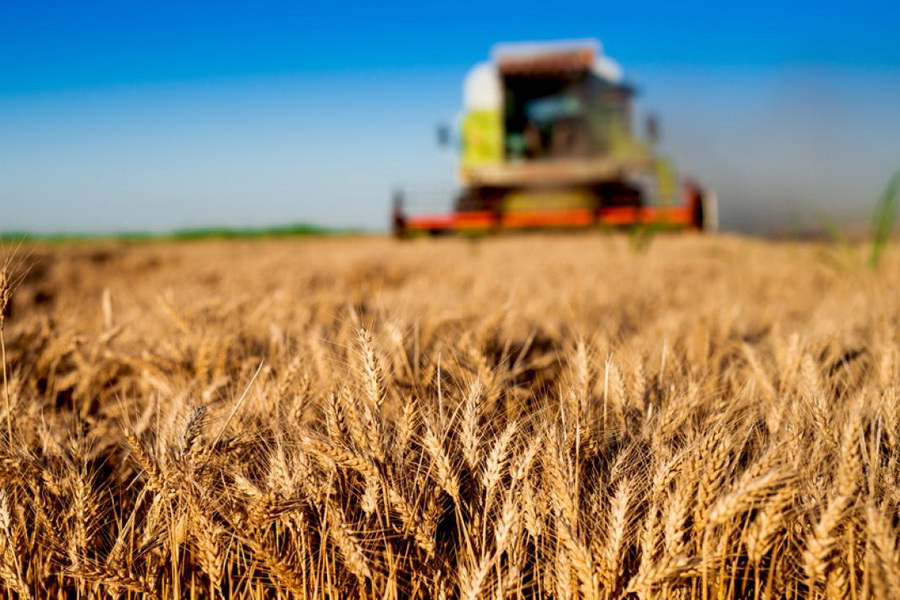 Аграриям Казахстана одобрили отсрочку по кредитам на 7,9 млрд тенге
