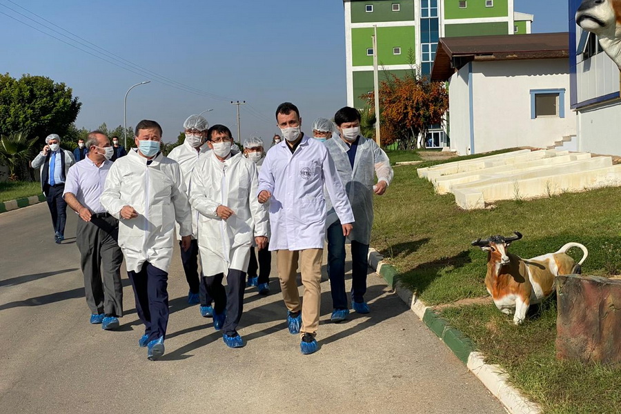 Турецкая компания запустит производство ветеринарных препаратов в РК