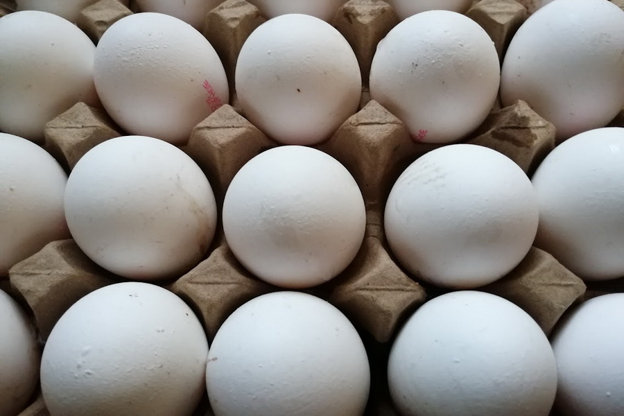 Казахстан экспортировал более 76 млн куриных яиц