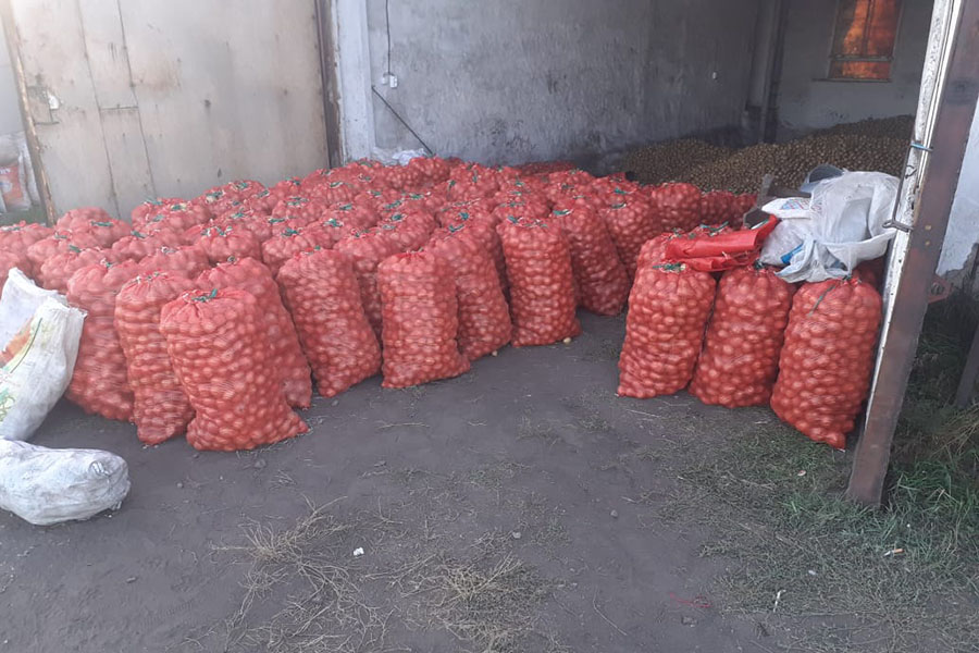 Картофель в Казахстане будет дорогим