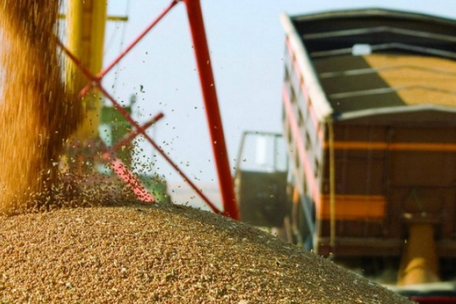 МСХ опубликовало предварительный список экспортеров пшеницы