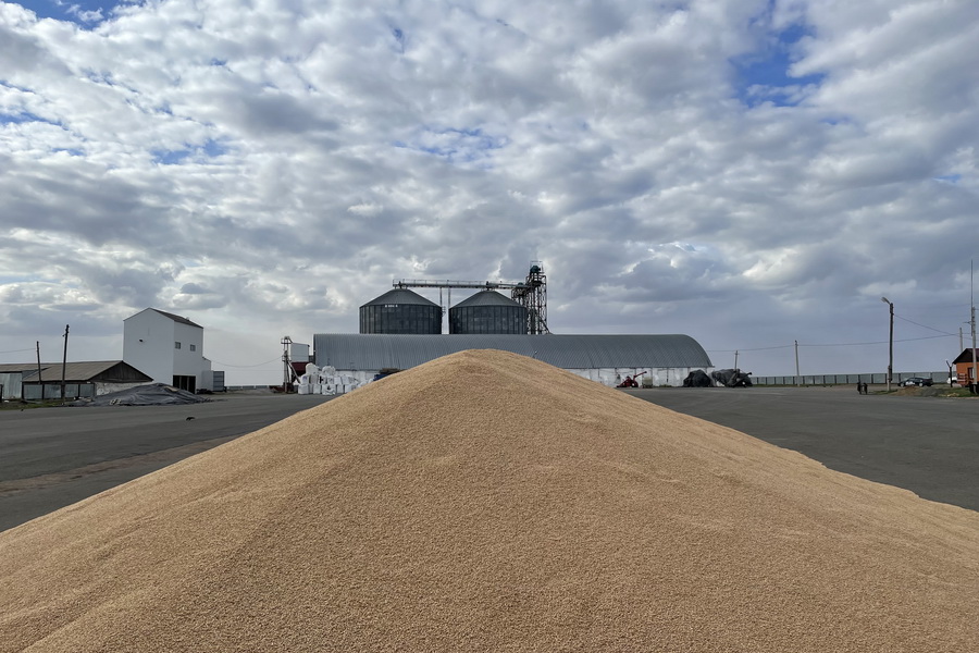 Казахстанская пшеница подешевела на $40