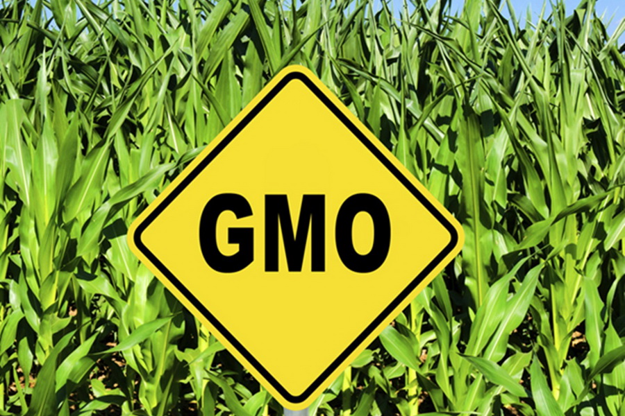 Продукцию с ГМО будут маркировать в ЕАЭС