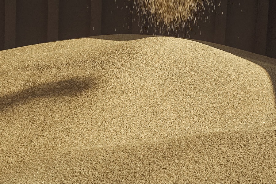 Запасы зерна в Казахстане оцениваются на уровне 7,8 млн т