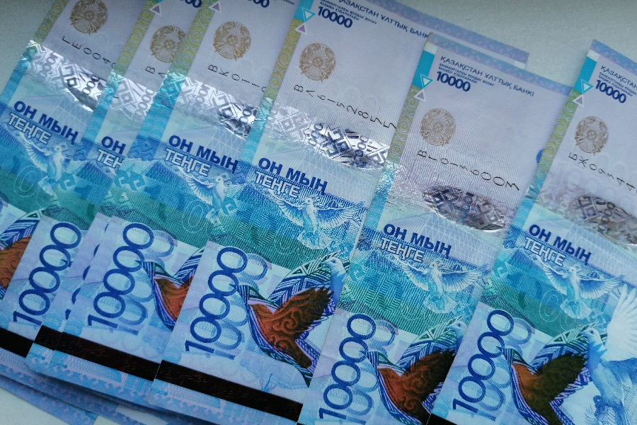 Минсельхоз определил порядок выплаты субсидий в новых областях Казахстана