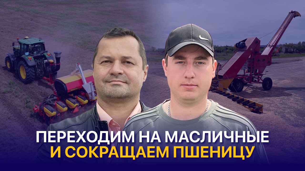 Картофель на капельном орошении и ставка на подсолнечник в СКО — КХ Тан