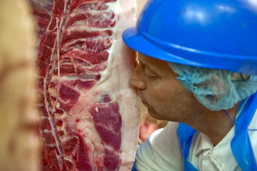 100 млн дополнительного дохода получит мясная индустрия Австралии – АгроДайджест №20