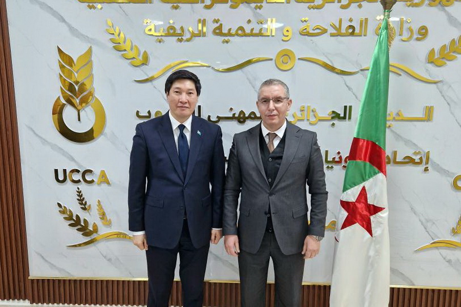 Казахстан экспортировал в Алжир 390 тыс. тонн пшеницы