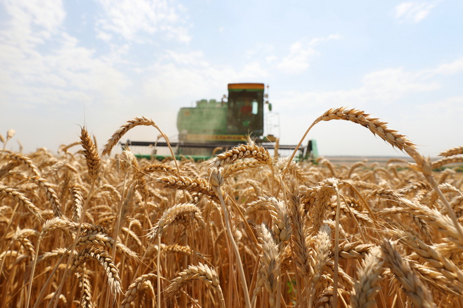 В Казахстане устранят ограничения на экспорт сельхозпродукции