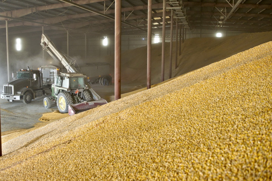 Продкорпорация закупит 500 тыс. тонн зерна в резервный фонд