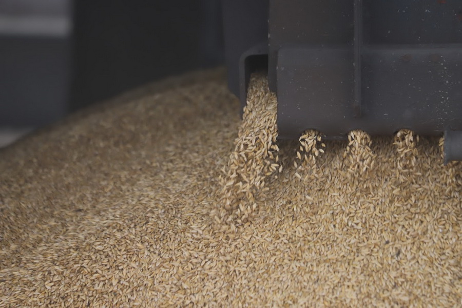 Минсельхоз выдал квоты на экспорт 464 тыс. тонн зерна