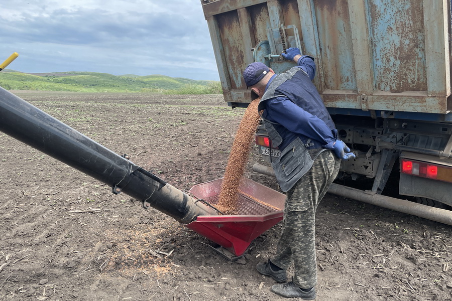 Повышать субсидии на семена соразмерно росту цен просят аграрии Казахстана