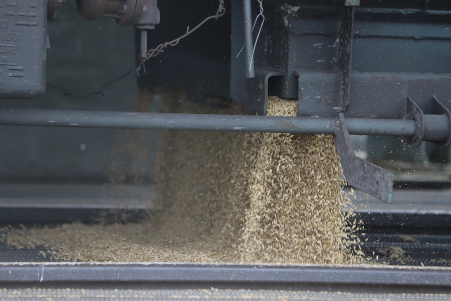 Проработать снижение пошлин при импорте зерна в Иран просят в Казахстане