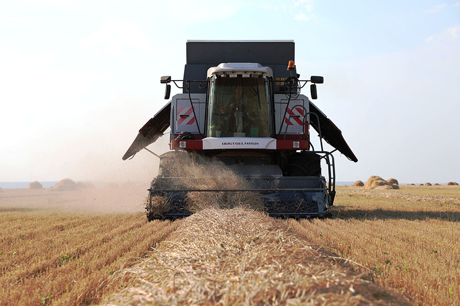 Казахстан получит 17,4 млн тонн зерна в новом сезоне