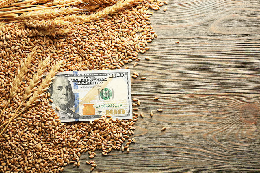 Тенге укрепился доллару, цены на пшеницу выросли, производство муки упало на 10%