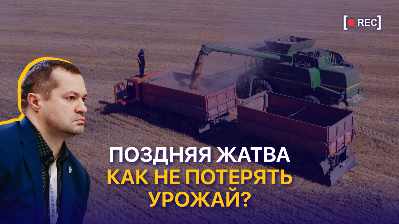 Дәнді дақылдардың вегетациялық кезеңін қалай қысқартуға болады? Қазақстандағы 2024 жылғы егін