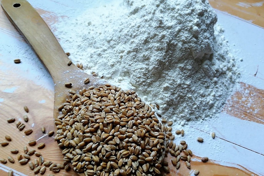 Мукомолы в регионах Казахстана не получили удешевленное зерно