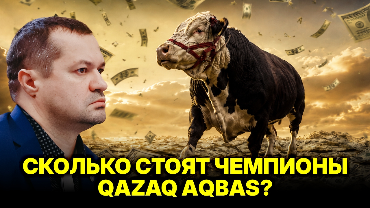 Лучшие акбасы Казахстана: чемпионы породы и цены на лучших быков в 2026