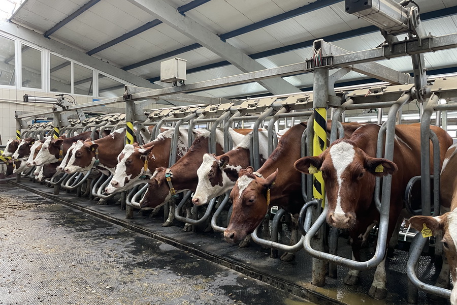 Westfalia Kazakhstan предлагает животноводам фермы под ключ