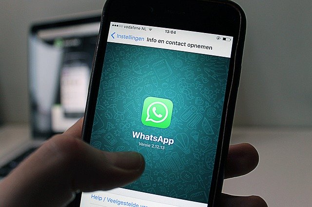 C Комитетом госинспекции в АПК теперь можно связаться в WhatsApp