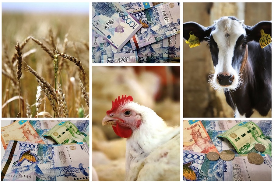 Алматы облысында 44,6 млрд теңгеге агрожобалар іске қосылады