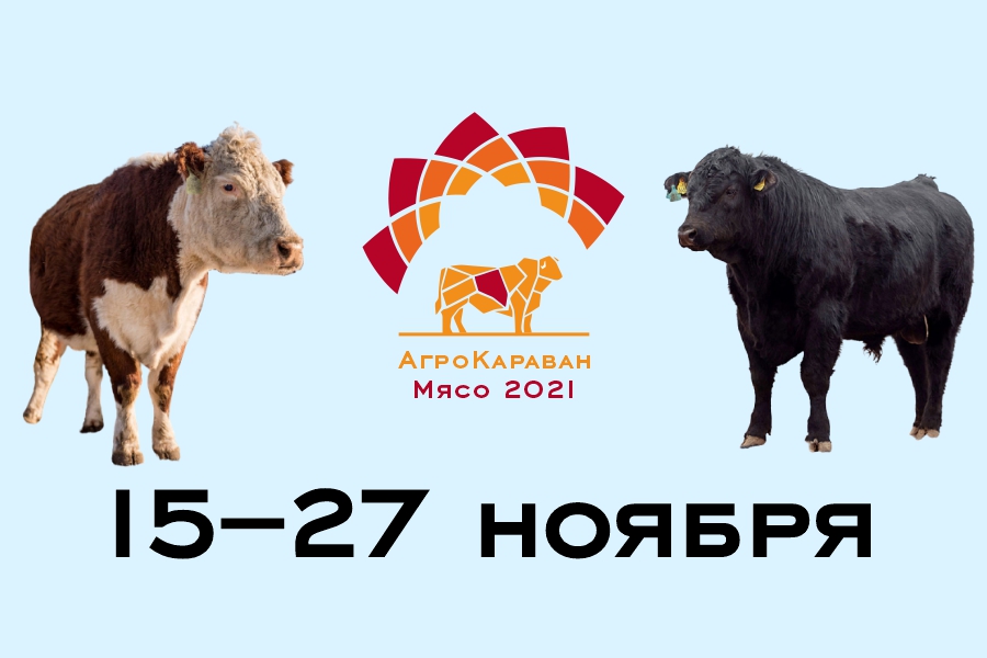 АгроКараван Мясо 2021 стартует в Казахстане