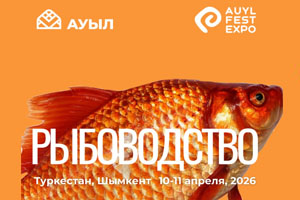AUYL FEST. Рыбоводство