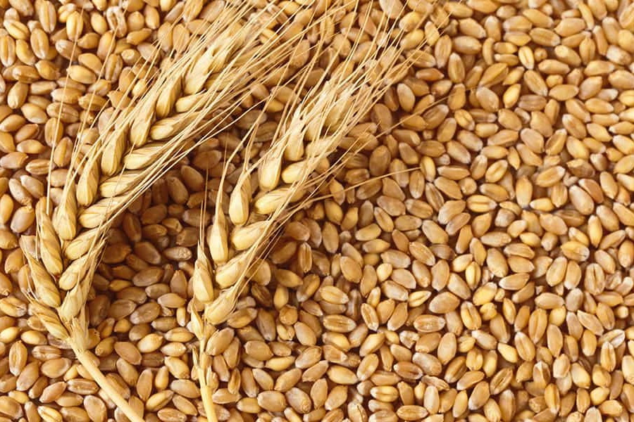 В России планируют ввести предельные цены на зерно и макароны