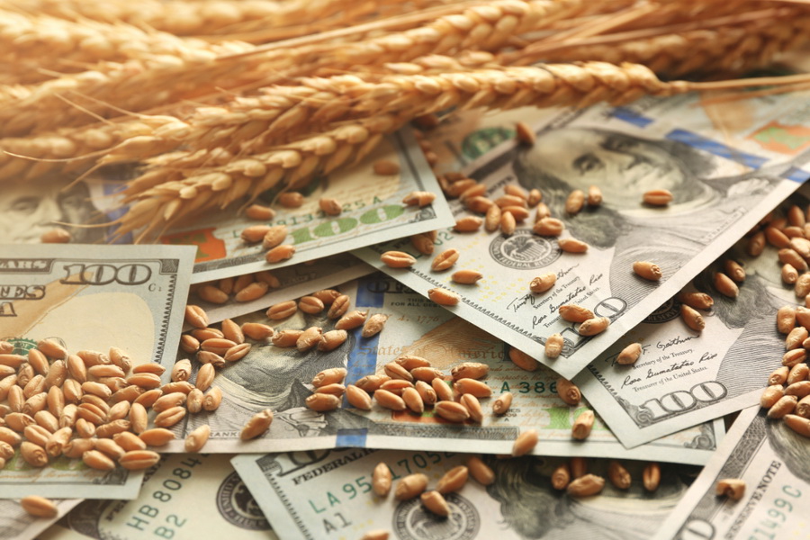 Тенге дешевеет, цены на пшеницу перешли к росту 
