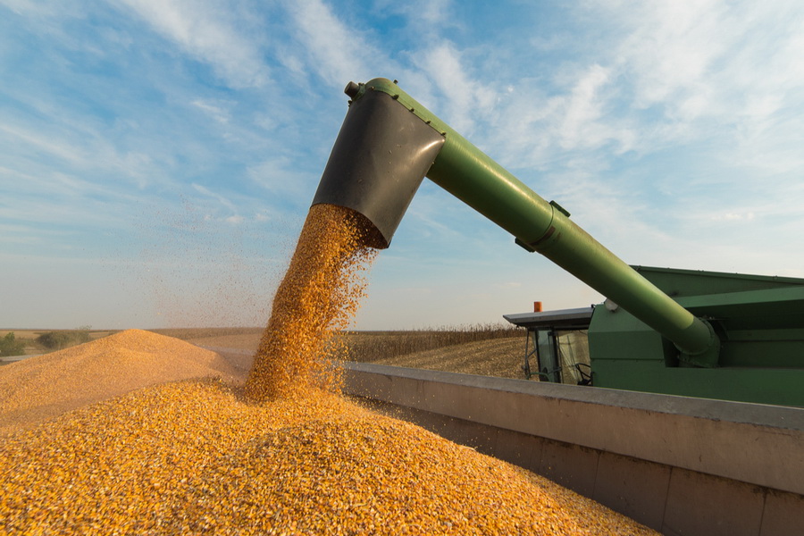 Минсельхоз не планирует вновь ограничивать экспорт зерна