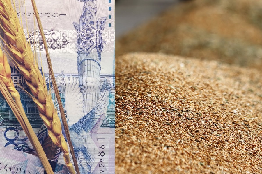 Экспортерам зерна в упрощенном порядке возвращено 15 млн тенге НДС
