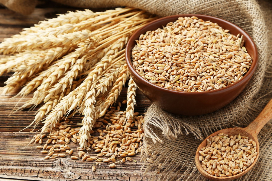 ФАО прогнозирует снижение мировой торговли зерном