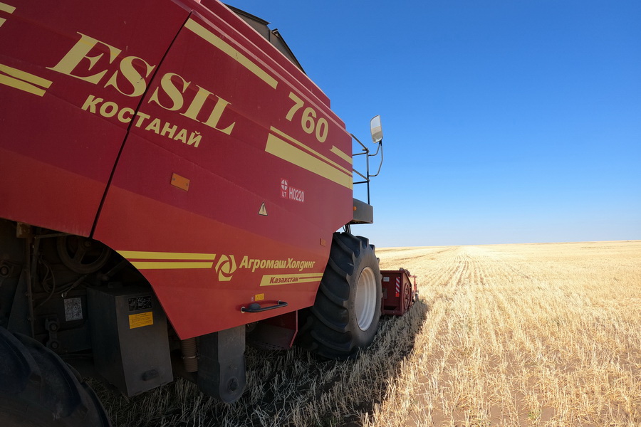 Экспорт зерна из Казахстана рухнул на 50%