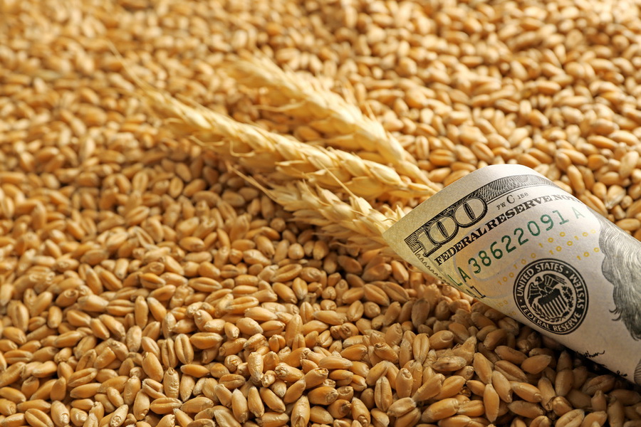 ИОПБ планирует проведение форвардных сделок на зерновом рынке