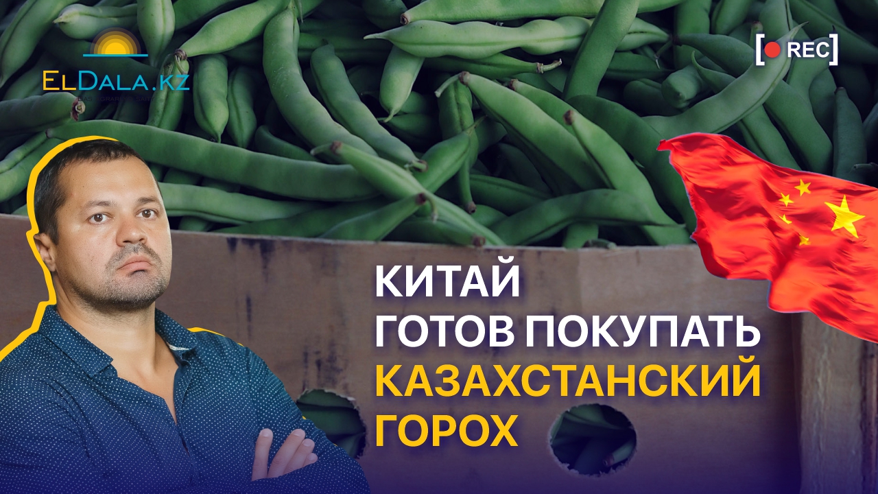 Какие культуры выгодно продавать из Казахстана в Китай?