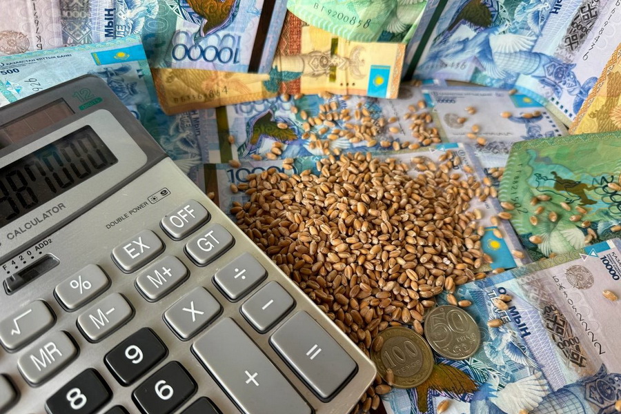 Льготные кредиты на 275 млрд тенге получат фермеры от банков Казахстана
