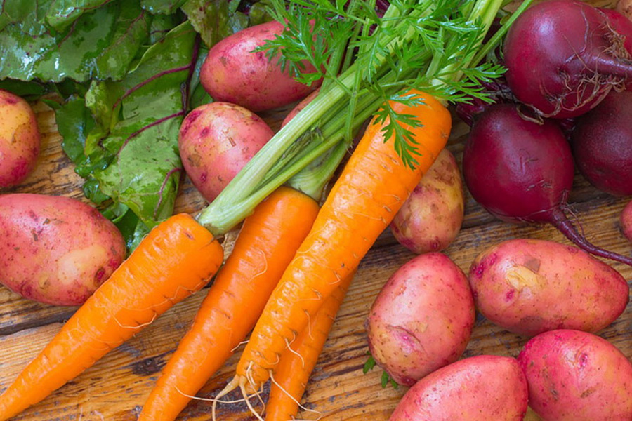 Казахстан предотвратил ввоз опасных семян картофеля и моркови