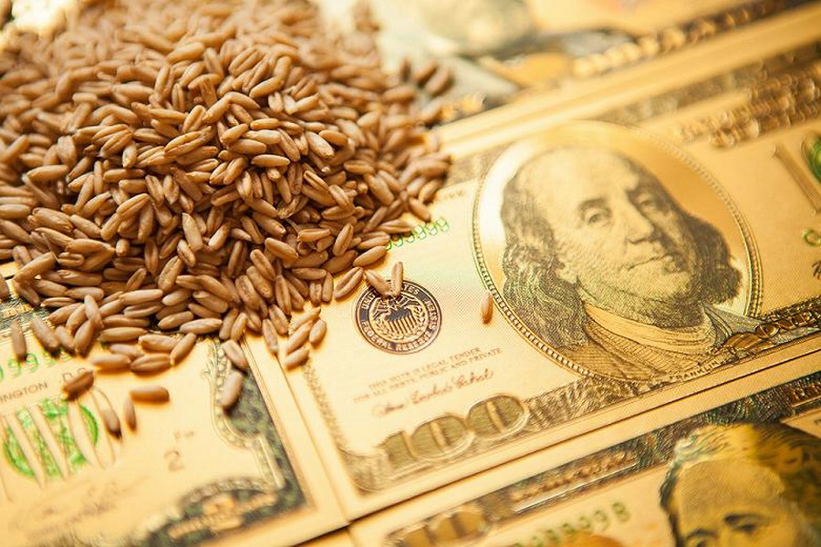 Доллар за месяц подешевел на 10 тенге, пшеница продолжает дорожать