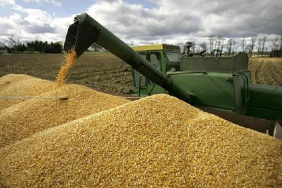 Производство биоэтанола из пшеницы начнут в Казахстане в 2021 году