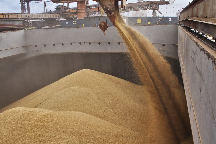 Узбекистан приостанавливает транзит муки и пшеницы в Афганистан
