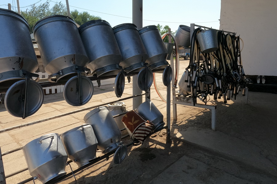 Казахстану грозит полная импортозависимость по молоку