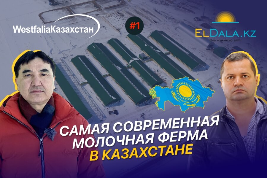 Как строят самую продвинутую молочную ферму Атамекен-Агро в Казахстане?