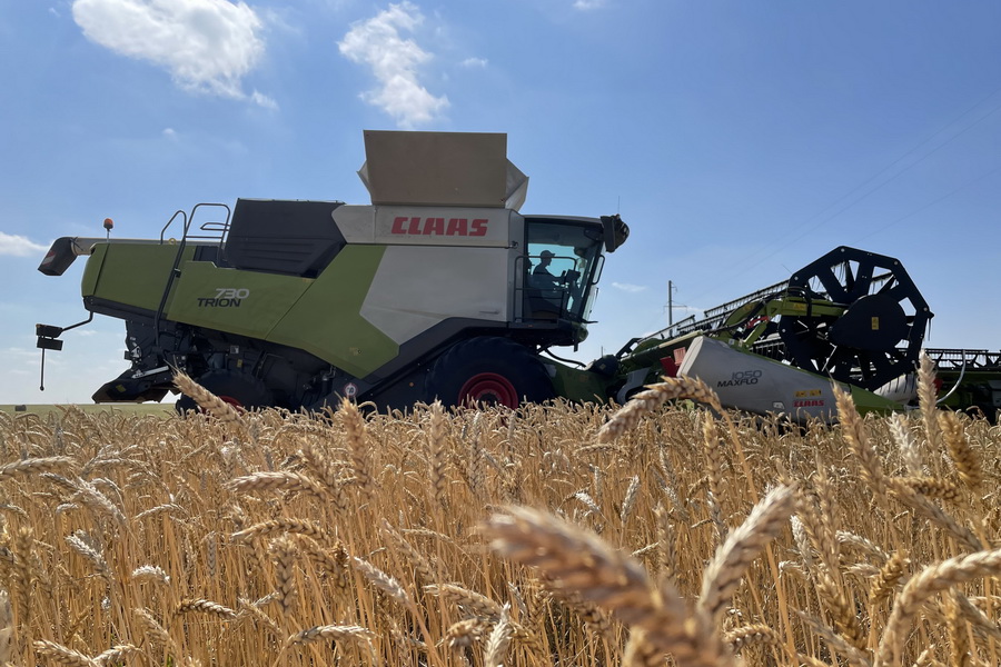 Фермеры рассчитывают на подорожание пшеницы до 150 тыс. тенге/тонна