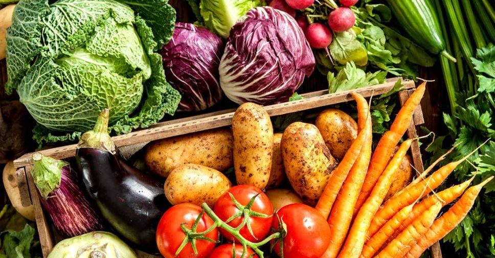 Квоты на экспорт овощей помогут обеспечению продовольственной безопасности страны ― Кайрат Бисетаев