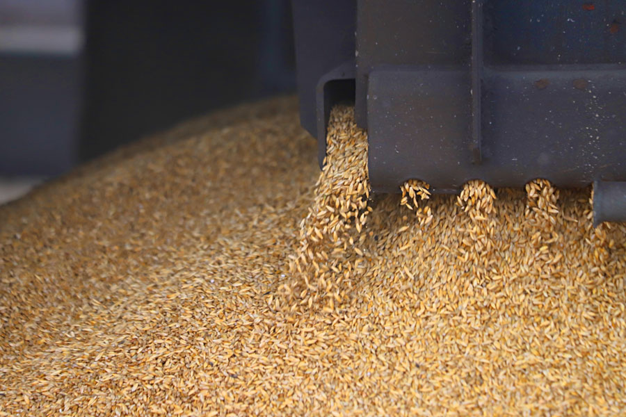 Заперт на погрузку зерна в Китай ввела КТЖ