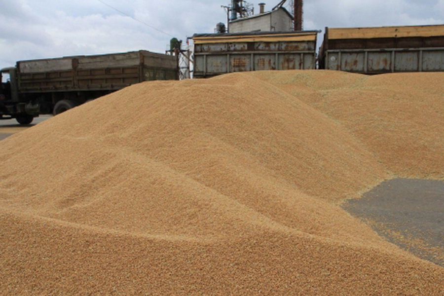 Эксперты опасаются роста импорта серого зерна в РК из-за тарифной политики КТЖ